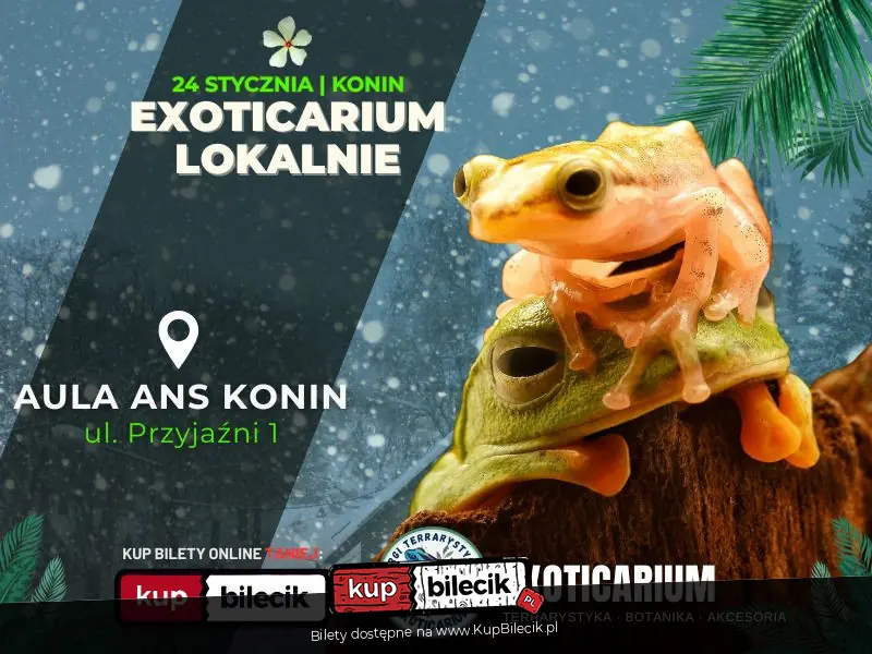 EXOTICARIUM LOKALNIE Targi Terrarystyczne Konin