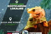 Exoticarium Lokalnie - Targi Terrarystyczne