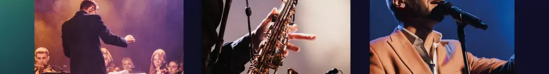 Muzyka popowa z elementami muzyki estradowej oraz orkiestrowymi aranżacjami "Zbigniew Wodecki&q