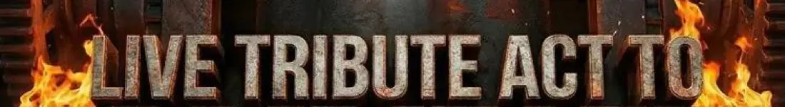 Koncert zespołu - Feuerwasser