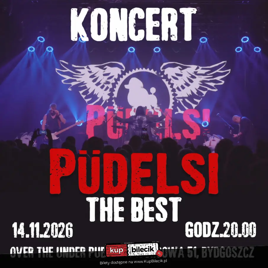 Koncert Zespołu Püdelsi.