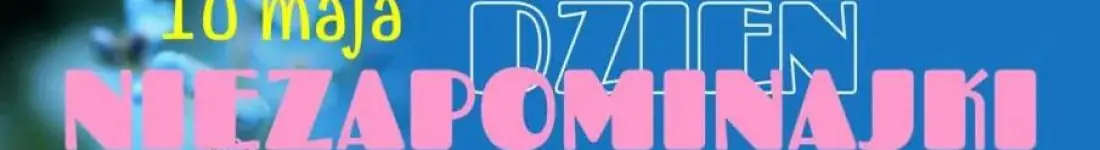 Koncert żeńskiego chóru Belcanto z okazji Dnia Niezapominajki