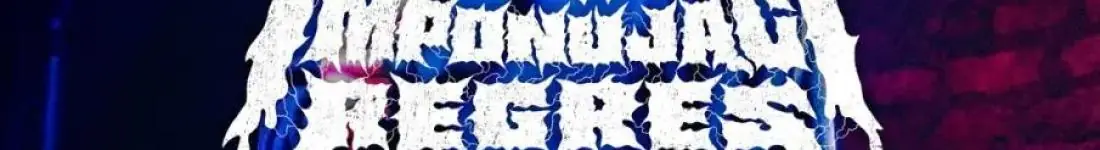 Stand-up: IMPONUJĄCY REGRES - nowy materiał