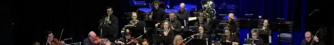 Koncert Orkiestry Symfonicznej Filharmonii Dolnośląskiej im. Ludomira Różyckiego