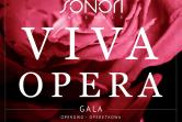 VIVA OPERA. Gala Operowo-Operetkowa z okazji Dnia Matki - największe przeboje z oper i operetek - soliści operowi