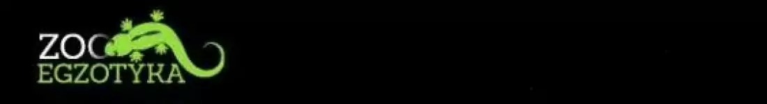 ZooEgzotyka