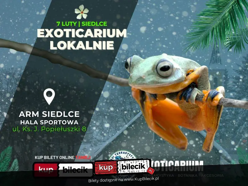 EXOTICARIUM LOKALNIE Targi Terrarystyczne Siedlce 7 luty