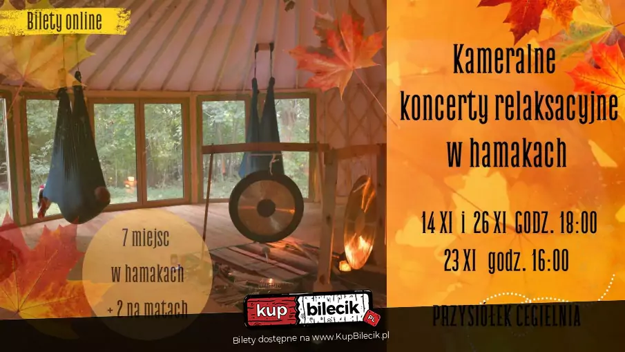 Kameralny koncert relaksacyjny w hamakach