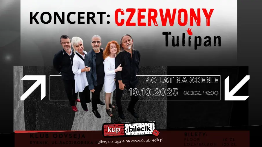 Czerwony Tulipan