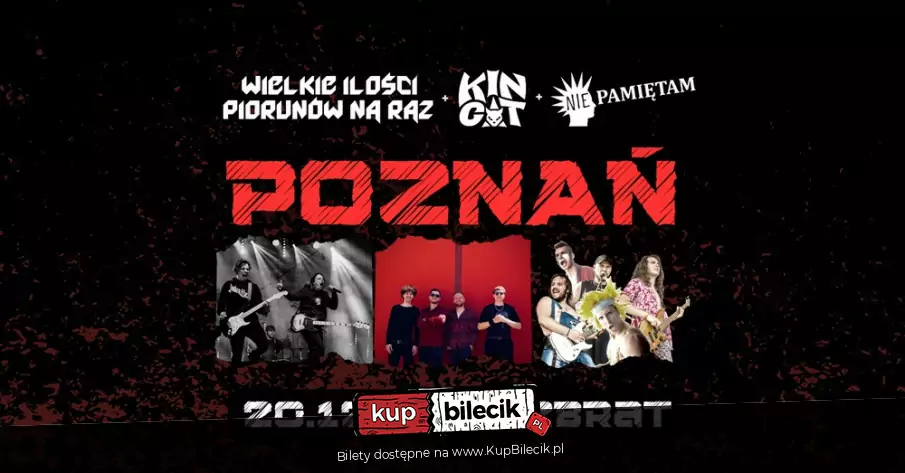 Wielkie Iloci Piorunw na Raz