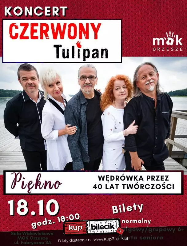Czerwony Tulipan