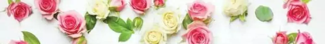 Wiosenna Gala Operetki Przystanek Kęty