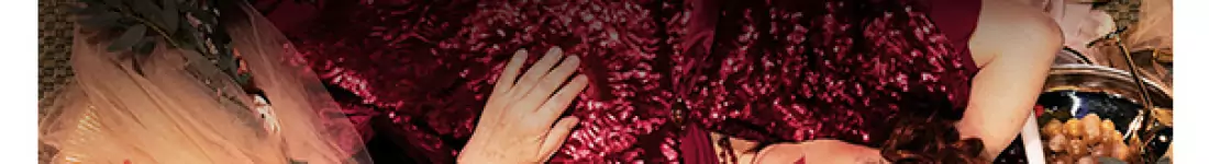 Dom weselny - dwie siostry i wesele