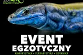 ZooEgzotyka