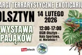 Exoticarium Lokalnie - Targi Terrarystyczne