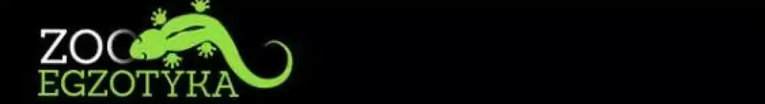 Wystawa pająków - ZooEgzotyka