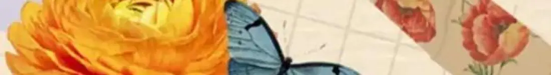 Czyli Szaleństwa Dojrzałej Młodości