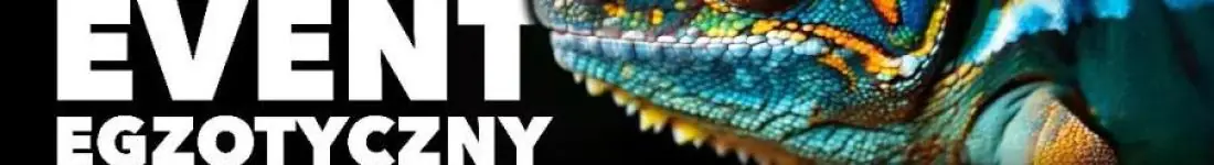 ZooEgzotyka Warszawa!