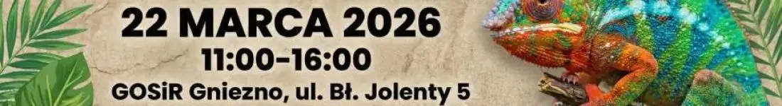 Targi Terrarystyczne Exoticarium + Wystawa Pająków