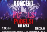 Pudelsi