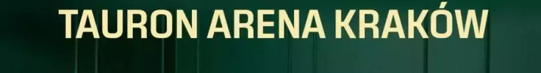 Koncert zespołu DŻEM