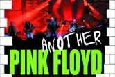 Another Pink Floyd i Marek Raduli