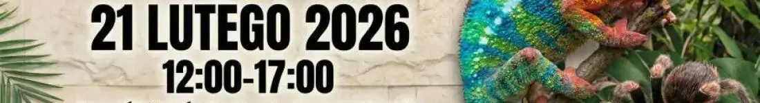 Targi Terrarystyczne Exoticarium + Wystawa Pająków