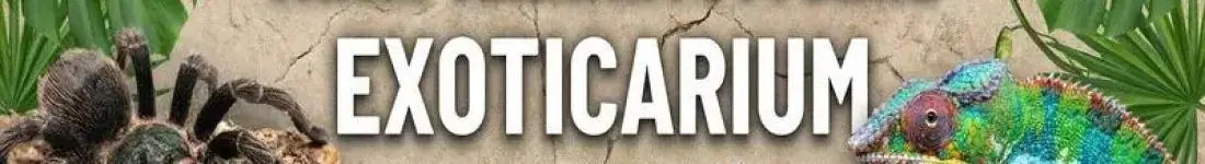 Targi Egzotycznych Zwierząt Exoticarium w Zielonej Górze!