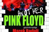 Another Pink Floyd Tribute Band