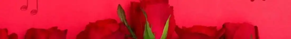 WALENTYNKI 2026 "All You Need Is Love" - Miłosne przeboje wszech czasów