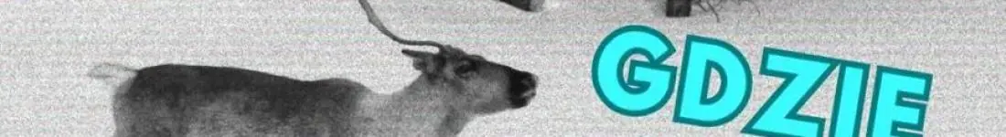 Od Biedy + gość specjalny Chela Mydas - Gdzie jest Rudolf - komediowe impro!