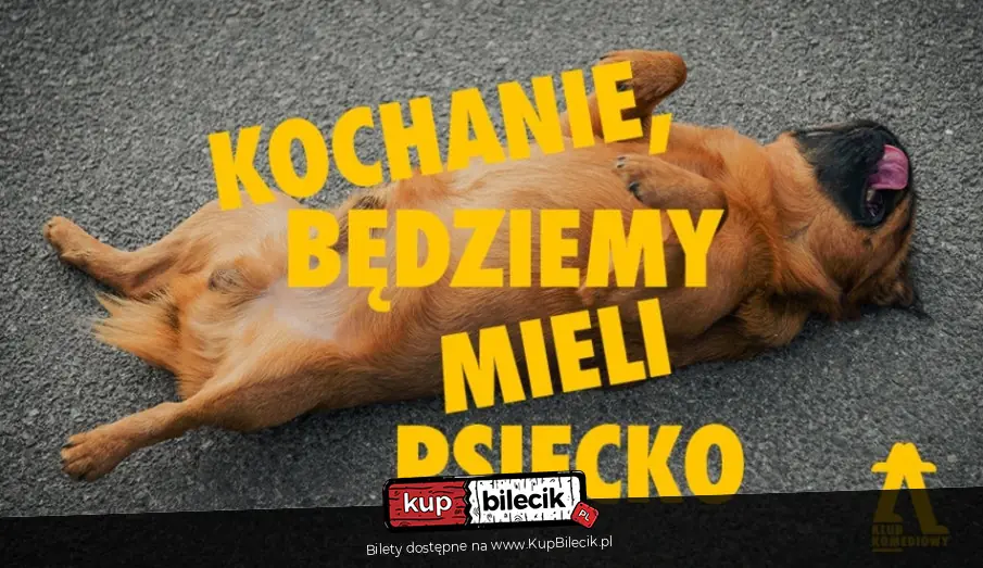 Kochanie, będziemy mieli psiecko - spektakl impro