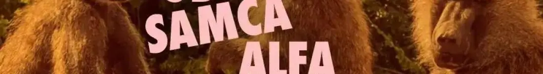 Od Samca Alfa po Samca Sigmę: alfabet najgorszych typów - spektakl impro