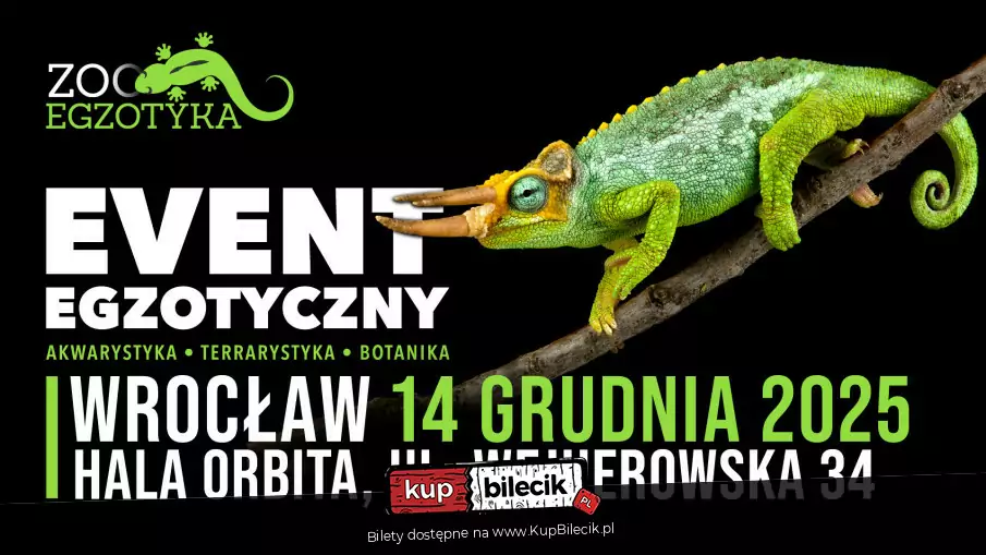 ZooEgzotyka