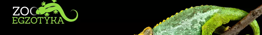 ZooEgzotyka Wrocław 14 grudnia 2025