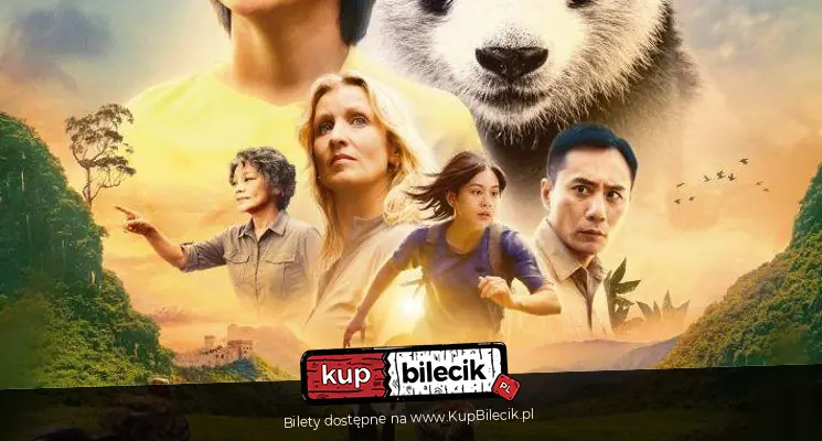 Pokaz Filmowy - Kino Sok�