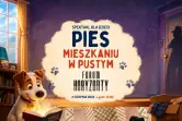 Pies w pustym mieszkaniu