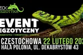 ZooEgzotyka