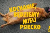 Klub Komediowy