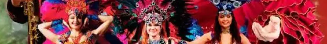 Wielka Rewia Sylwestrowa - od Wiednia do Rio de Janeiro