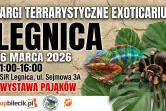 Exoticarium Lokalnie - Targi Terrarystyczne