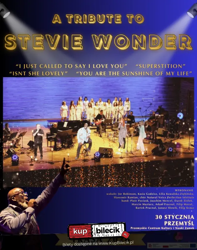Trasa koncertowa "A Tribute To Stevie Wonder"