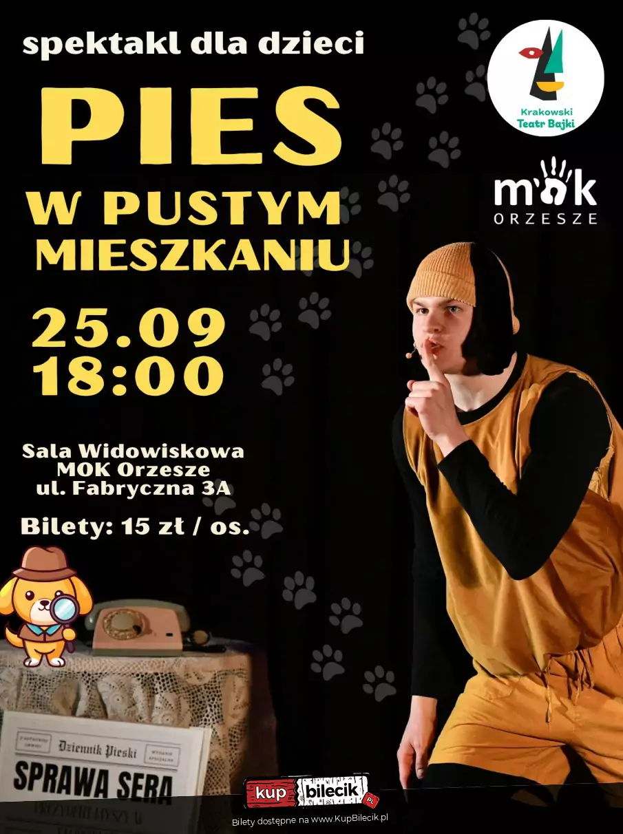 Pies w pustym mieszkaniu