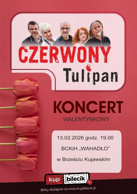 Czerwony Tulipan