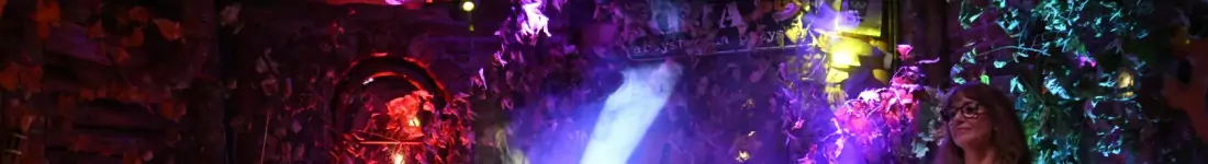 W Krainie Łagodności. Koncert grup Browar Żywiec.