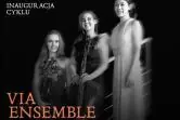 Via Ensemble