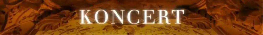 Koncert przy świecach: Koncert Walentynkowy