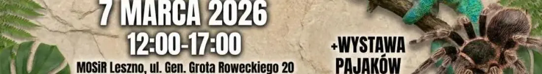 Targi Terrarystyczne Exoticarium + Wystawa Pająków