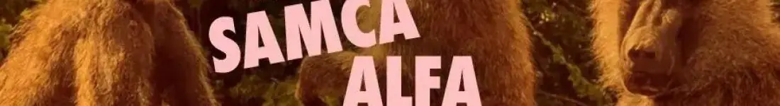 Od Samca Alfa po Samca Sigmę: alfabet najgorszych typów - spektakl impro