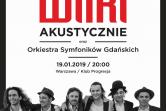 Wilki Akustycznie w Warszawie